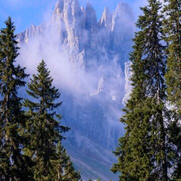 Image copyright Dany Fantini