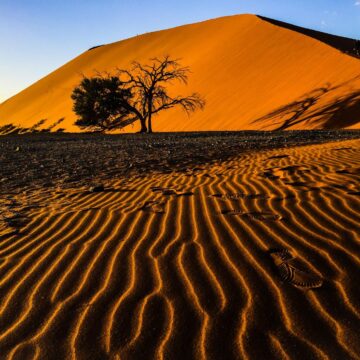 Image copyright Errol