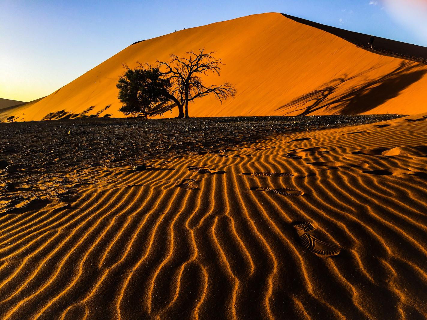 Image copyright Errol