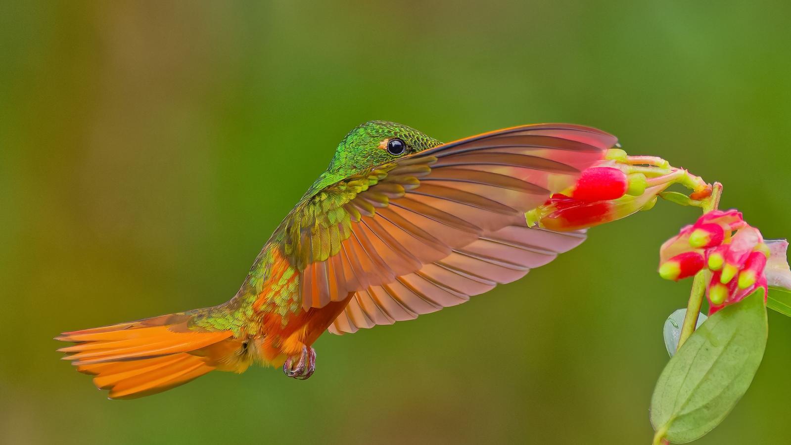 Image copyright Monique Tjong-Ayong