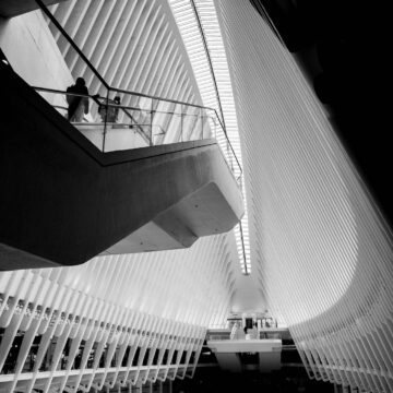 Image copyright DIMITRIS EMMANOULOPOULOS