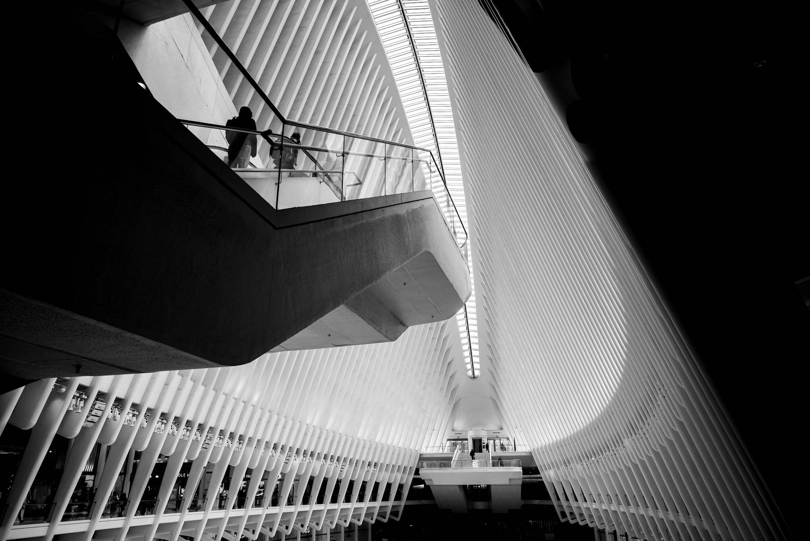 Image copyright DIMITRIS EMMANOULOPOULOS