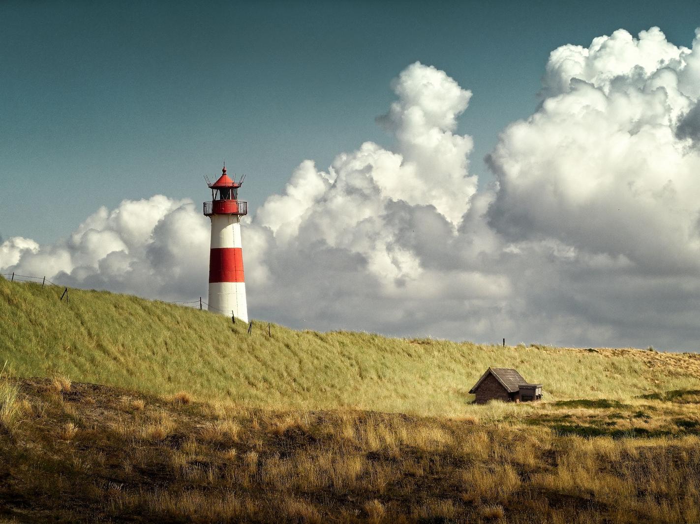 Image copyright Daniel