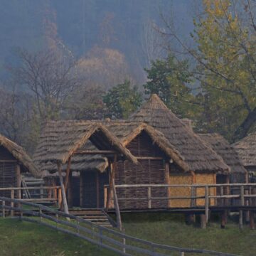 Image copyright Goran Ilić