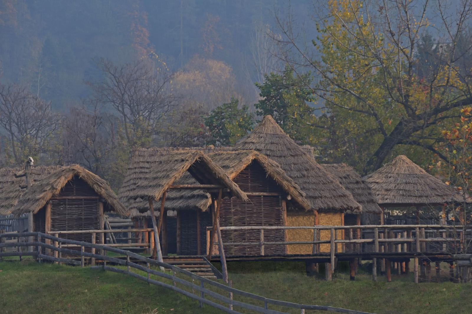 Image copyright Goran Ilić