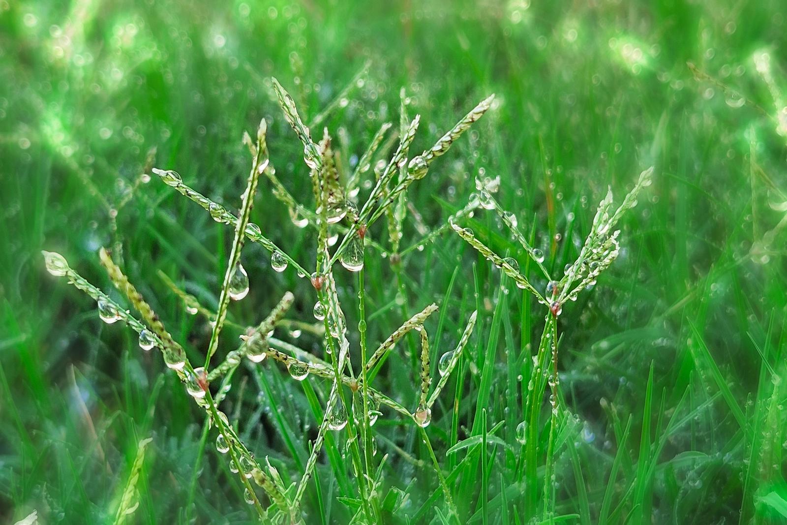 Image copyright Cem Yaşin