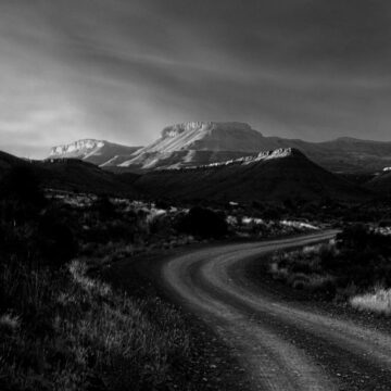 Image copyright PAT ALLUM