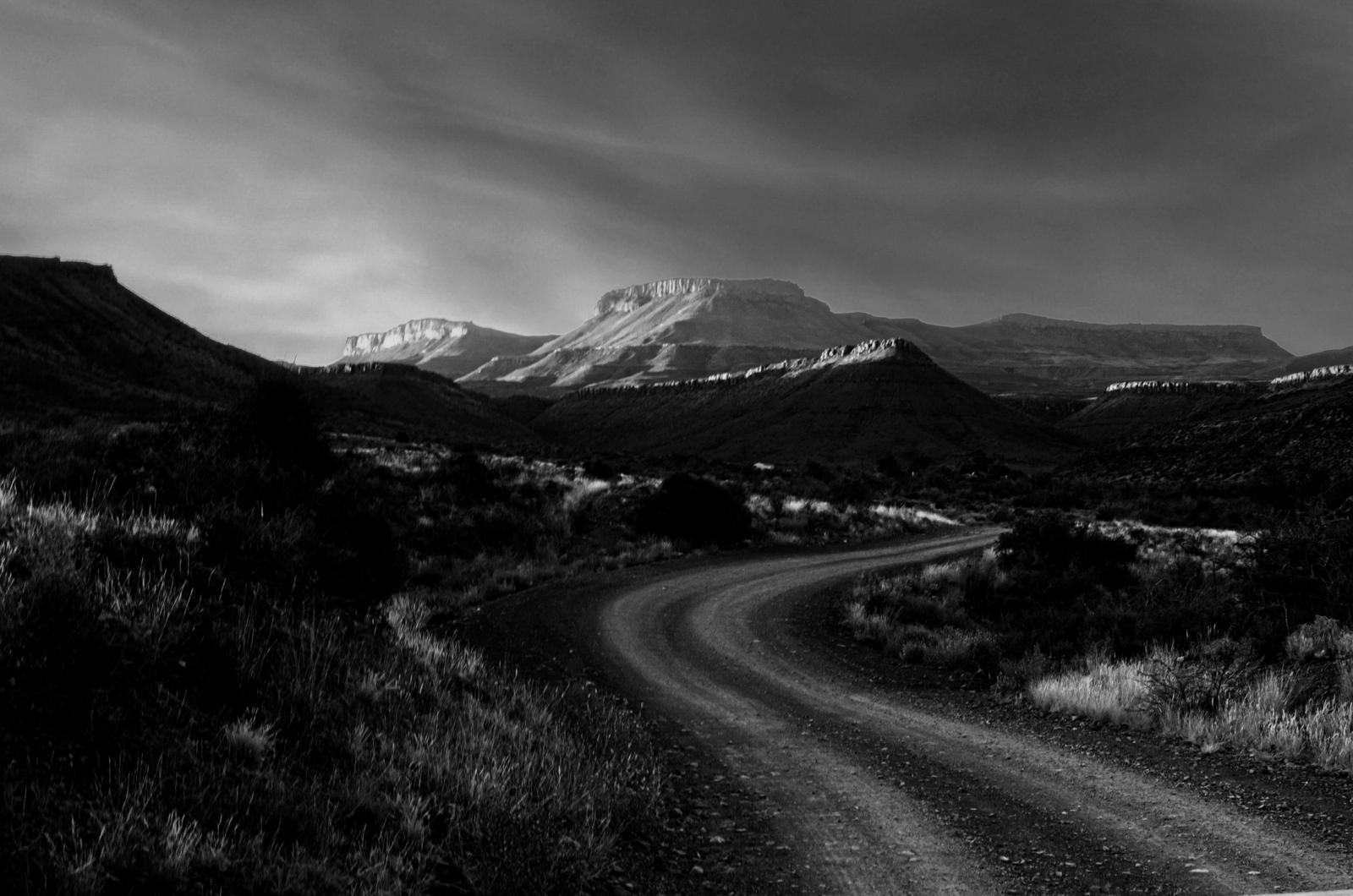 Image copyright PAT ALLUM