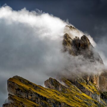 Image copyright GP Tang