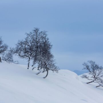 Image copyright Kai Stoeyva