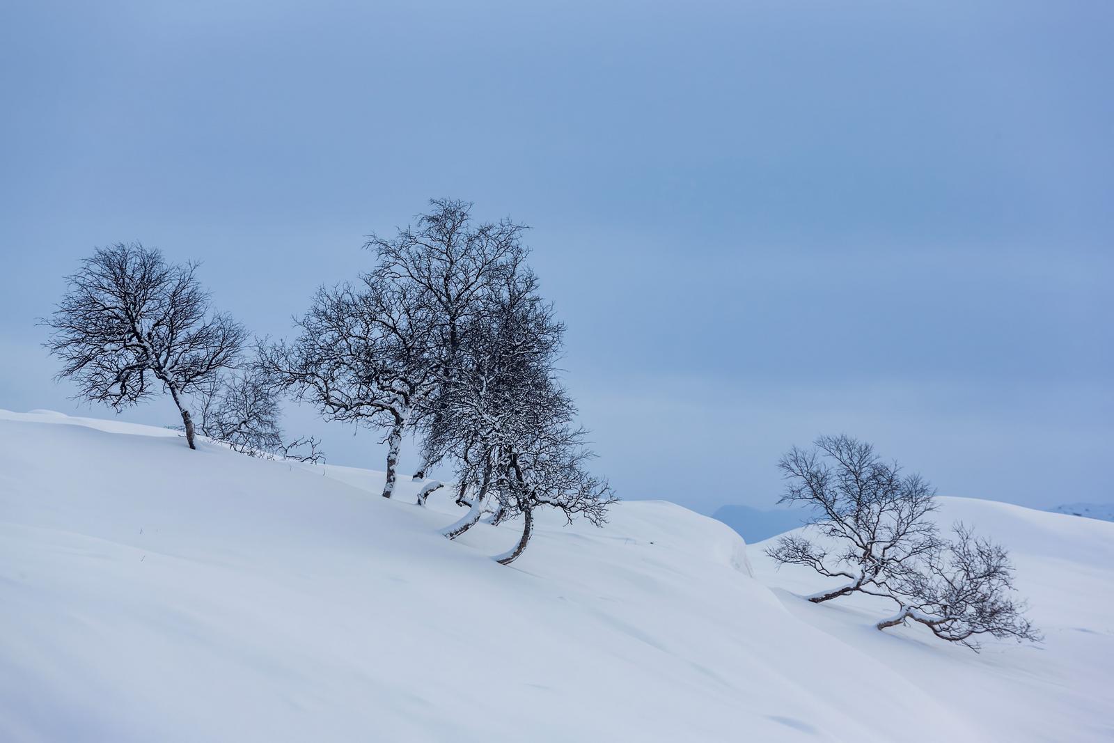 Image copyright Kai Stoeyva
