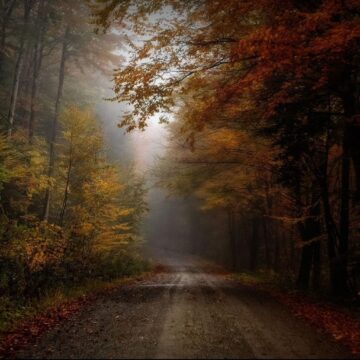 Image copyright Susan Hartman