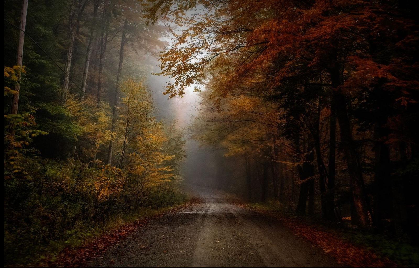 Image copyright Susan Hartman