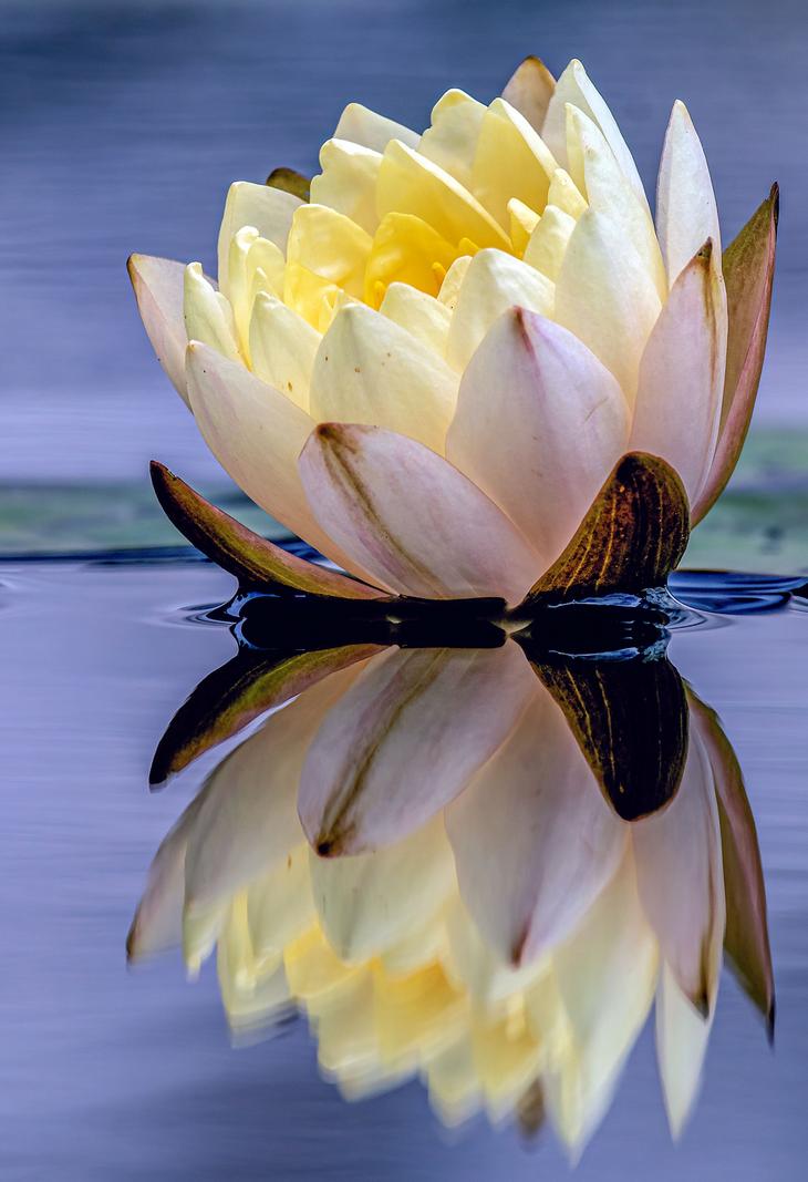 Image copyright Gordon Backman