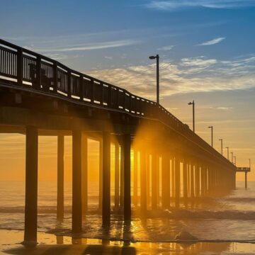 Image copyright Gordon Backman
