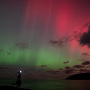 Image copyright Liz Tinson
