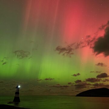 Image copyright Liz Tinson
