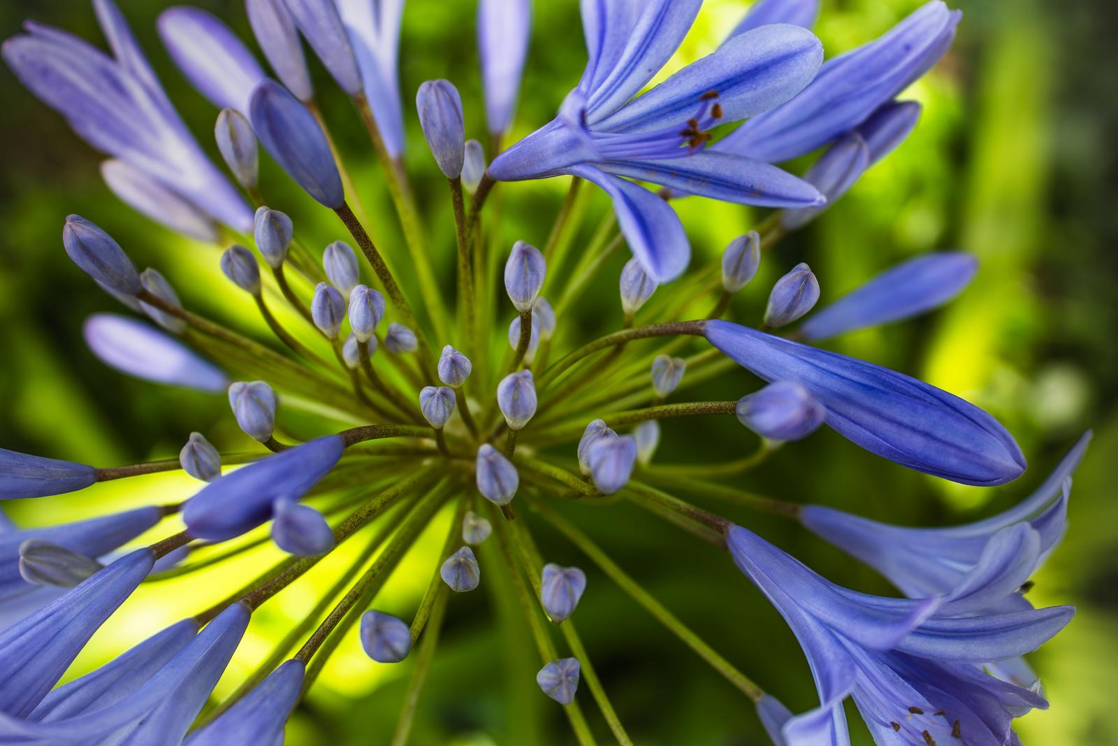 Image copyright Deborah Williamson