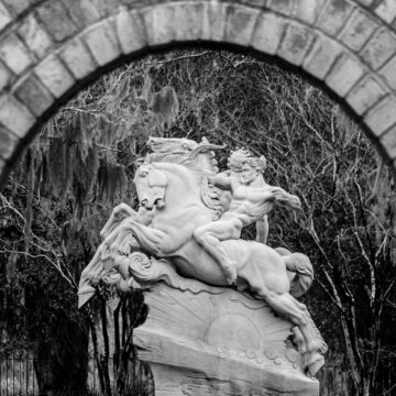 Image copyright Gordon Backman