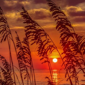 Image copyright Gordon Backman
