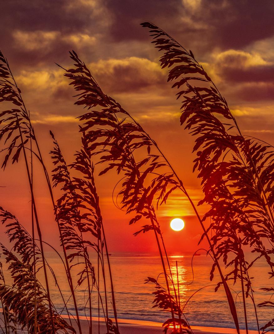 Image copyright Gordon Backman