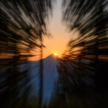 Image copyright Dany Fantini