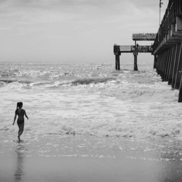 Image copyright Theresa Shook