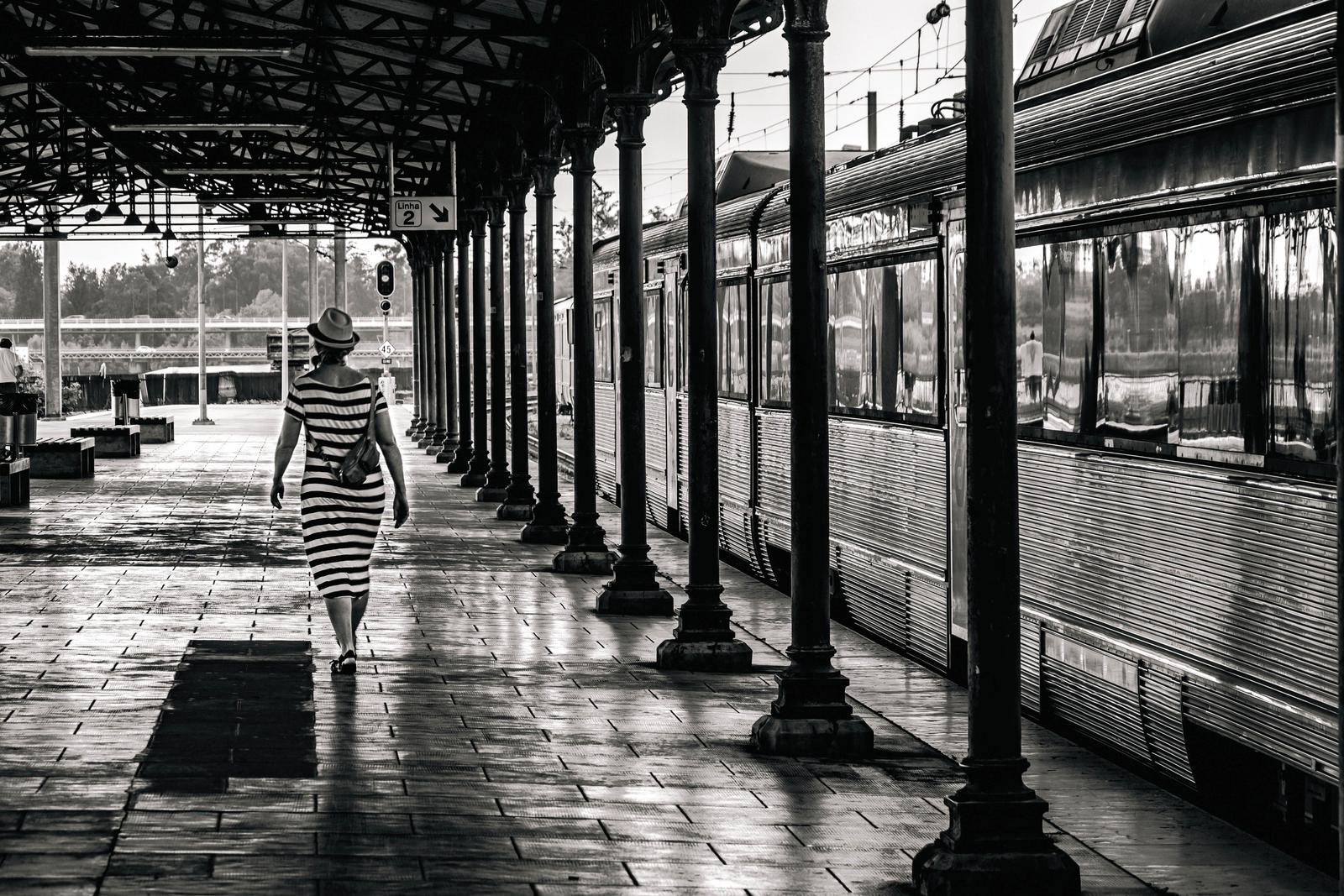 Image copyright Luís Perdigão Perdigão