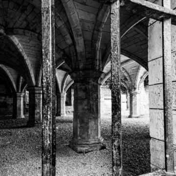 Image copyright Liz Tinson