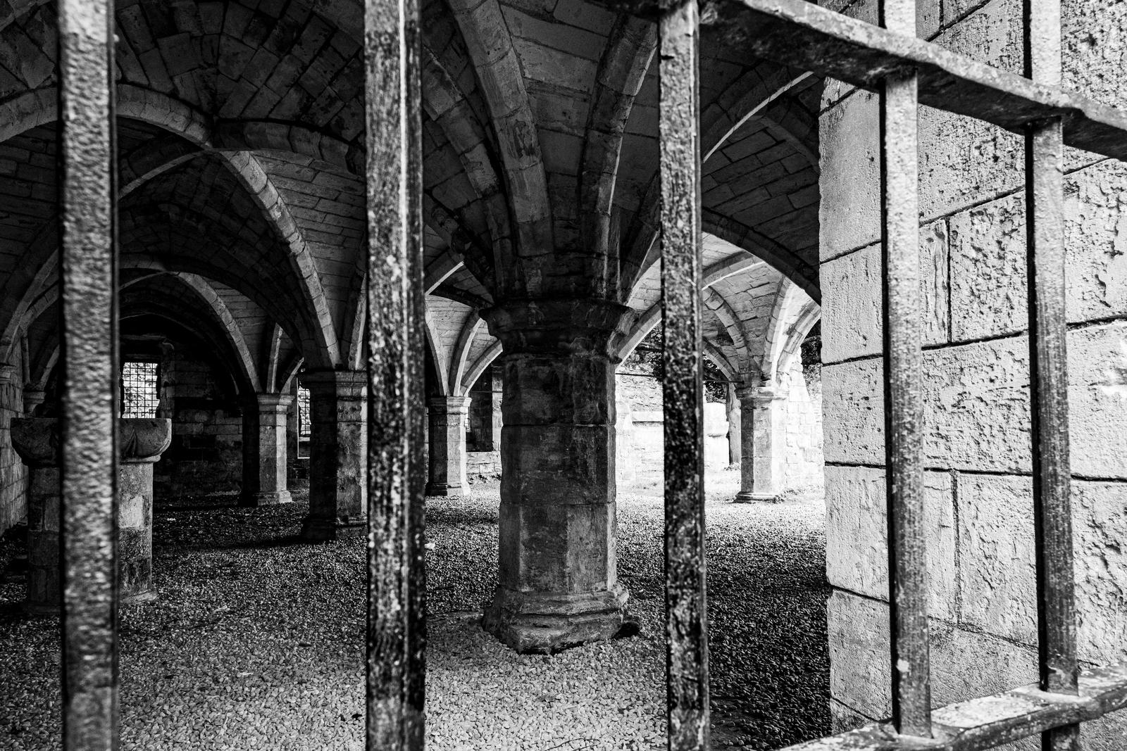 Image copyright Liz Tinson