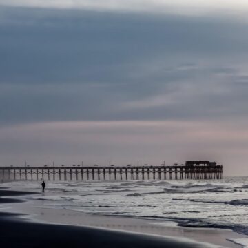 Image copyright Gordon Backman