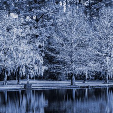 Image copyright Gordon Backman