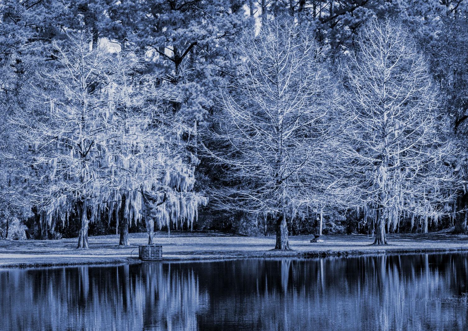 Image copyright Gordon Backman