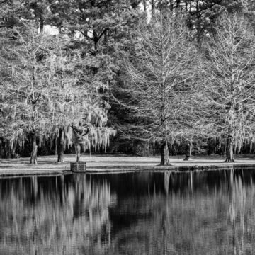 Image copyright Gordon Backman