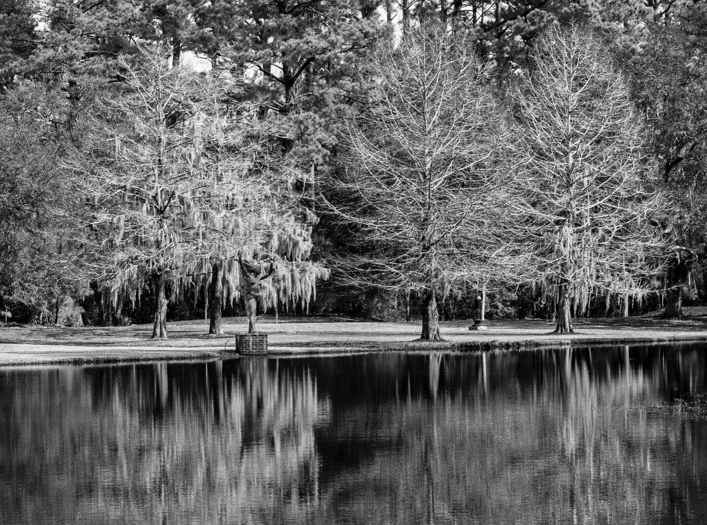Image copyright Gordon Backman