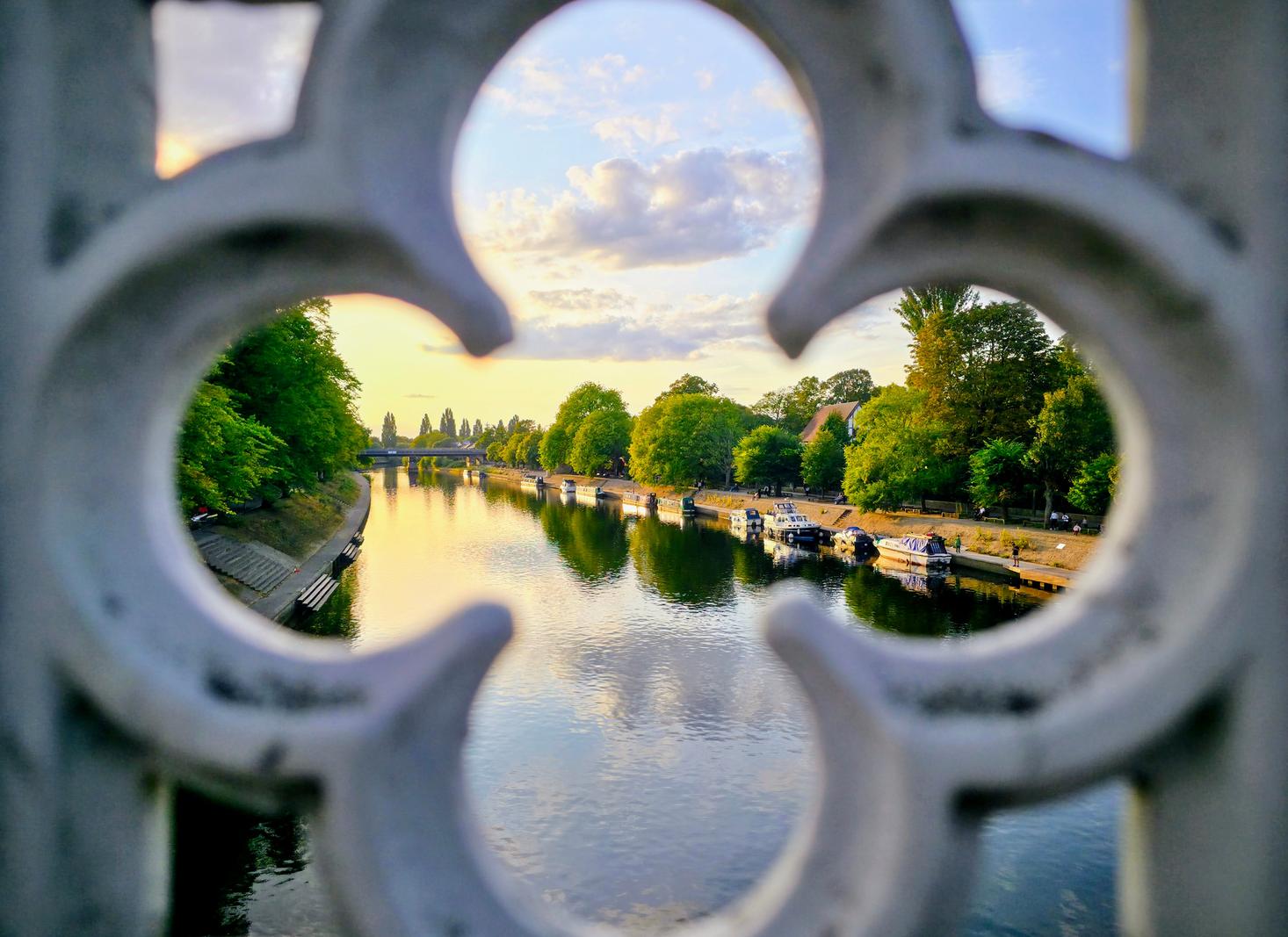 Image copyright Liz Tinson