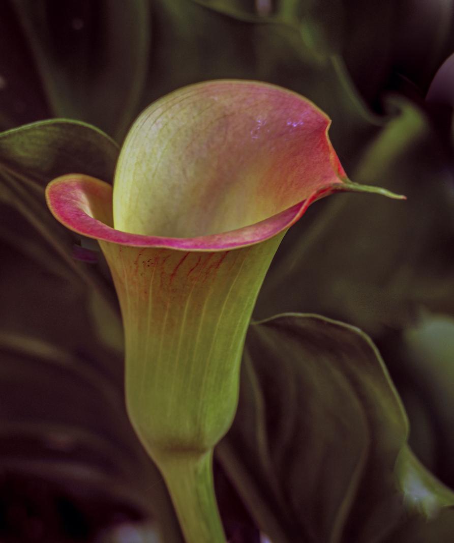 Image copyright Gordon Backman