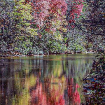 Image copyright Gordon Backman