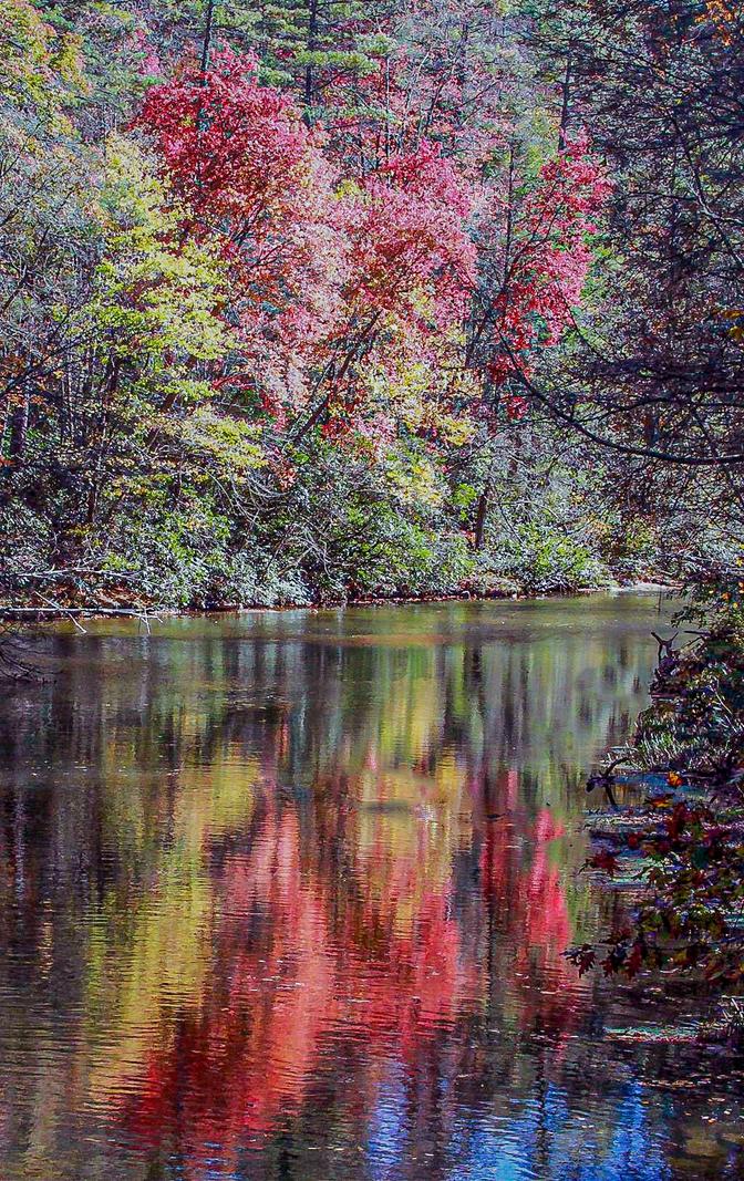 Image copyright Gordon Backman