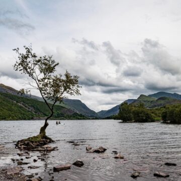 Image copyright Liz Tinson