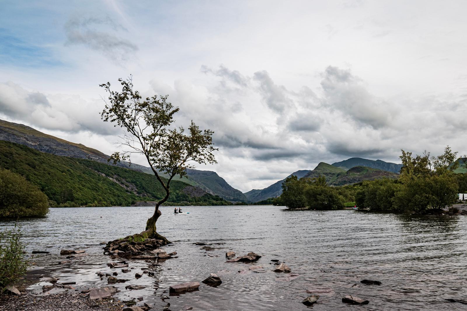 Image copyright Liz Tinson