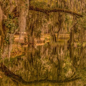 Image copyright Gordon Backman