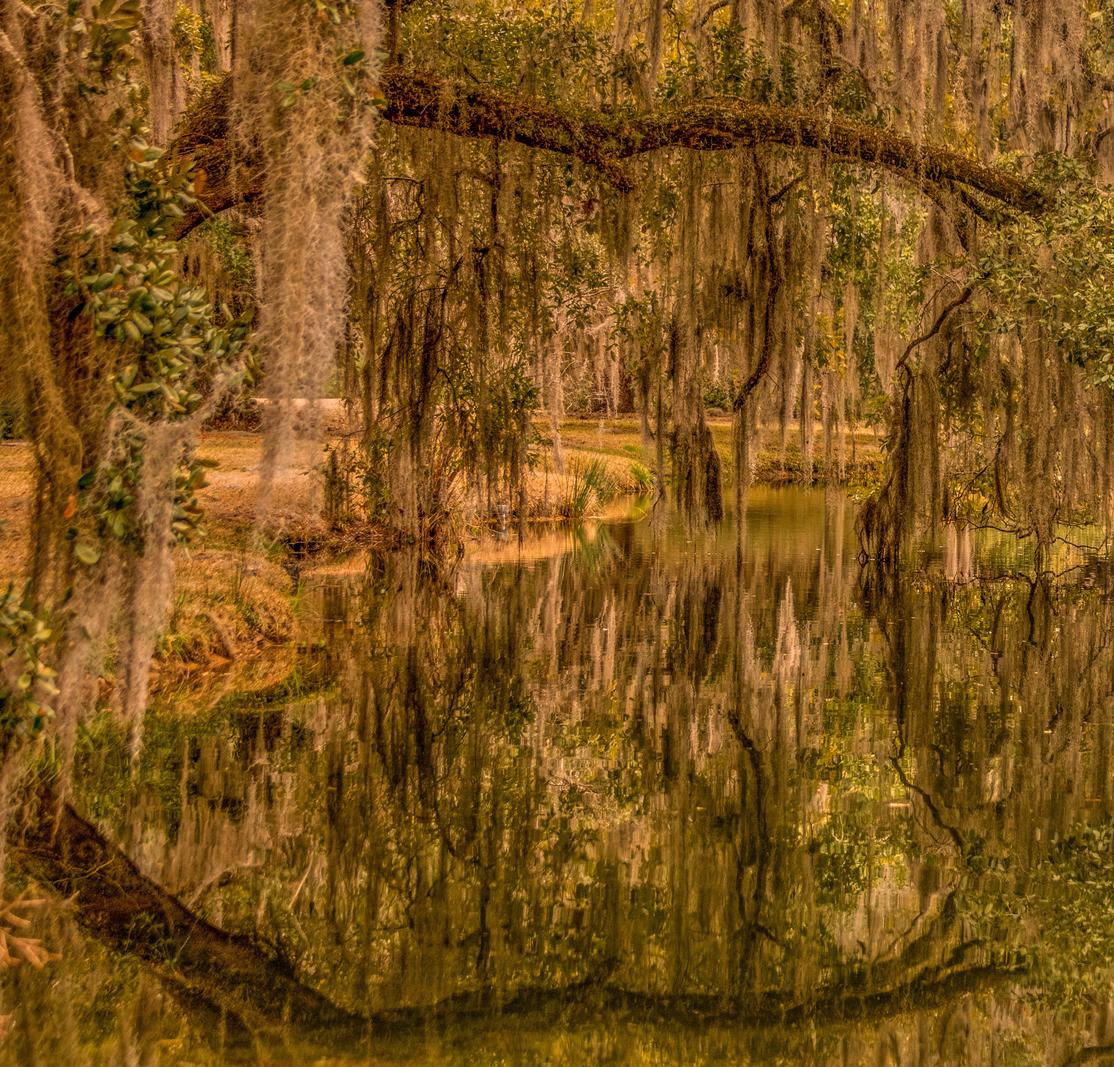 Image copyright Gordon Backman
