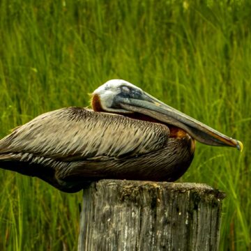Image copyright Gordon Backman