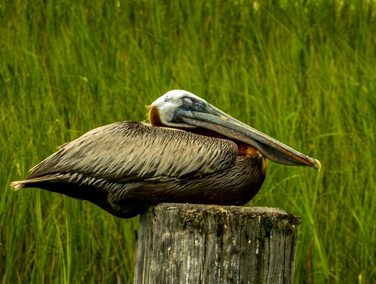 Image copyright Gordon Backman