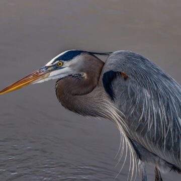 Image copyright Gordon Backman