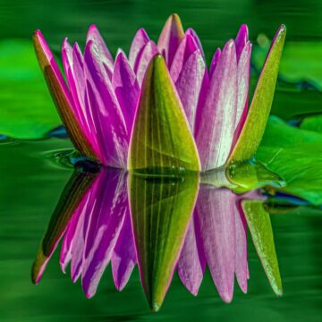 Image copyright Gordon Backman
