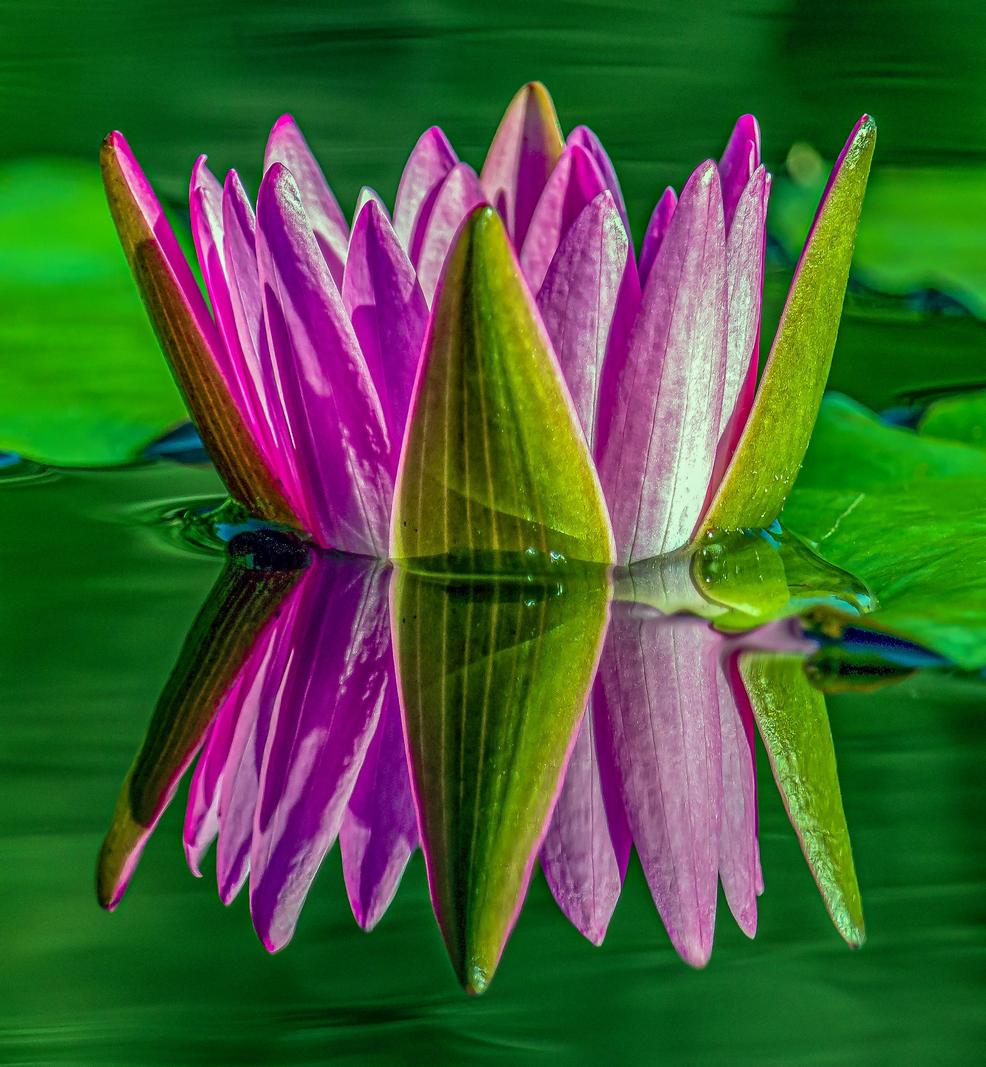 Image copyright Gordon Backman