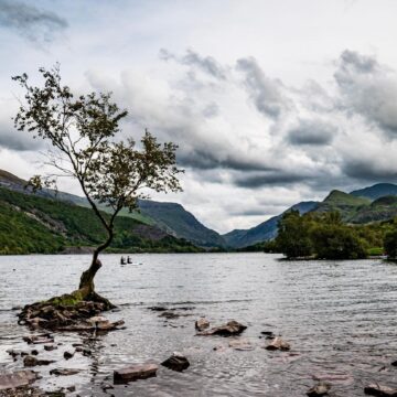 Image copyright Liz Tinson