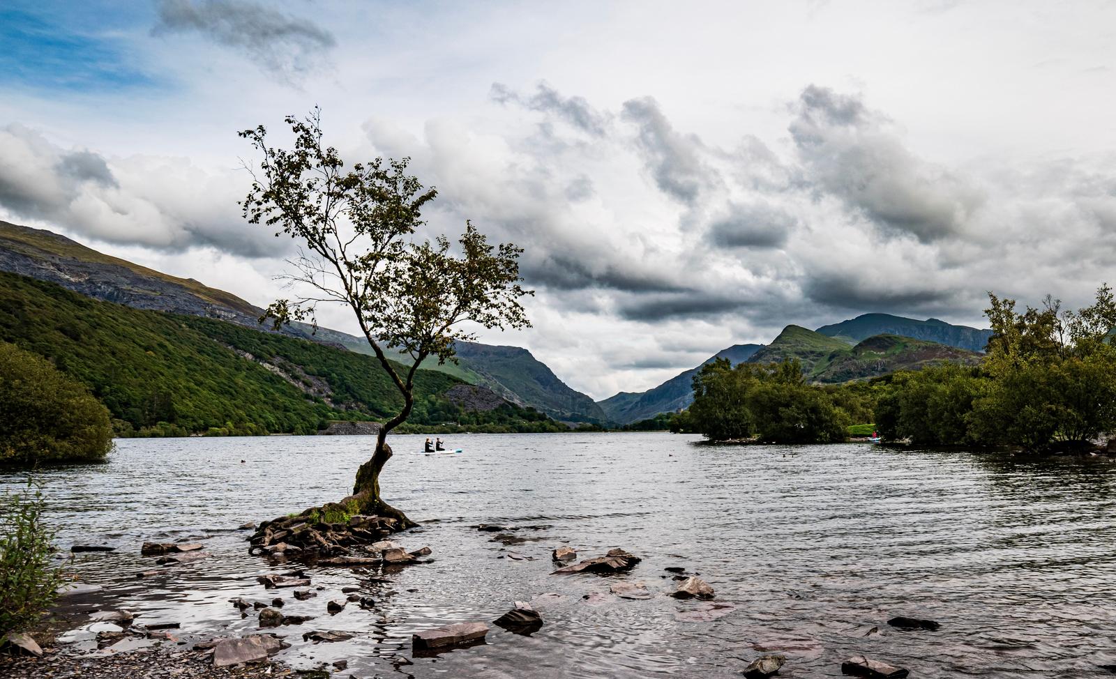 Image copyright Liz Tinson